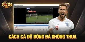 Cách cá độ bóng đá không thua