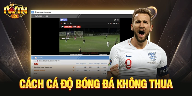 Cách cá độ bóng đá không thua