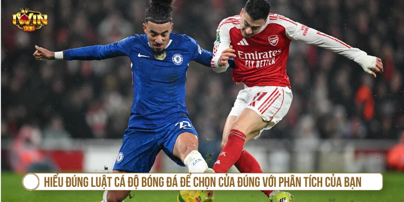 Hiểu đúng luật cá độ bóng đá cơ bản để chọn cửa đúng với phân tích của bạn